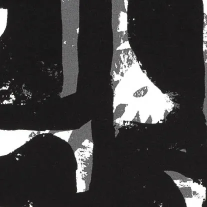 Punta di roma zwart met grijs wit abstract patroon